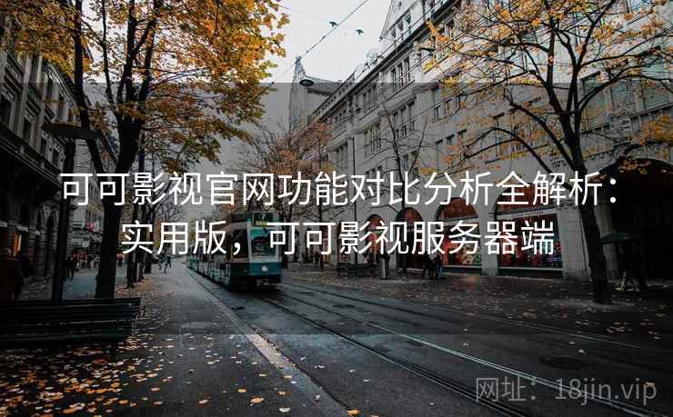 可可影视官网功能对比分析全解析：实用版，可可影视服务器端