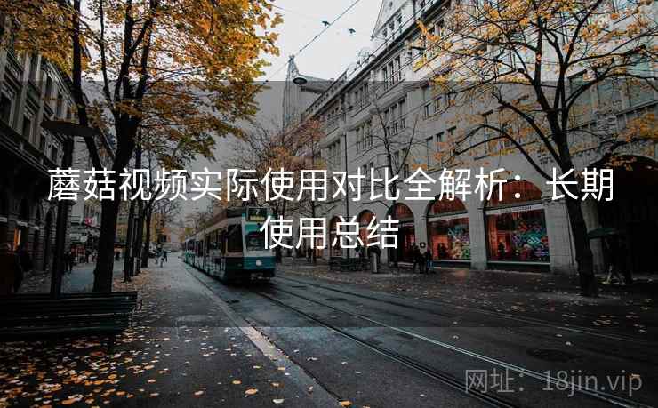 蘑菇视频实际使用对比全解析：长期使用总结