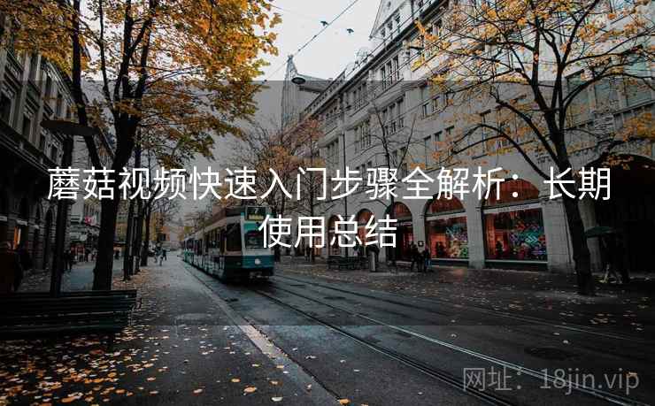 蘑菇视频快速入门步骤全解析:长期使用总结